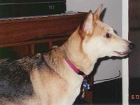 zena7-6-01-1.jpg