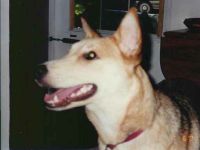 zena7-6-01-3.jpg