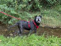 IMG_4078.jpeg