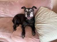 IMG_4091.jpeg