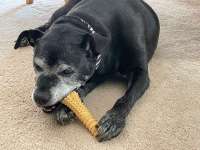IMG_4087.jpeg