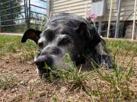 IMG_4142.jpeg