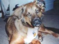 zoey_alumni_photo.jpg