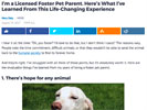 I&rsquo;m a Licensed Foster Pet Parent