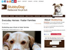 Everyday Heroes: Foster Families