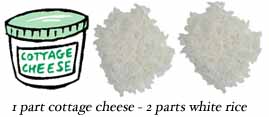 bland diet